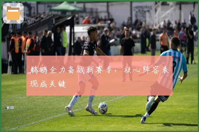 鹈鹕全力备战新赛季，核心阵容表现成关键