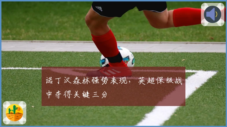 诺丁汉森林强势表现，英超保级战中夺得关键三分