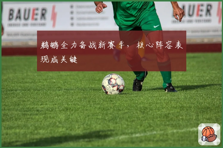 鹈鹕全力备战新赛季，核心阵容表现成关键