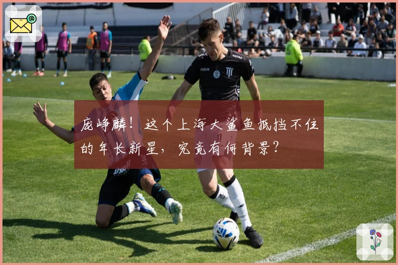 庞峥麟！这个上海大鲨鱼抵挡不住的年长新星，究竟有何背景？